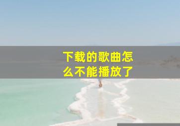 下载的歌曲怎么不能播放了