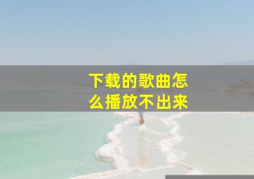 下载的歌曲怎么播放不出来