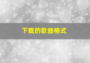 下载的歌曲格式