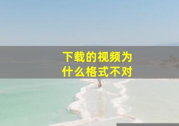 下载的视频为什么格式不对