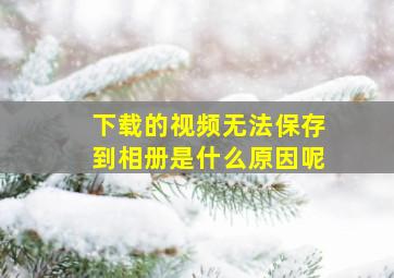 下载的视频无法保存到相册是什么原因呢