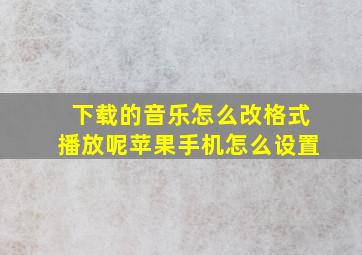 下载的音乐怎么改格式播放呢苹果手机怎么设置