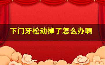 下门牙松动掉了怎么办啊