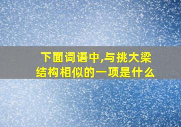 下面词语中,与挑大梁结构相似的一项是什么