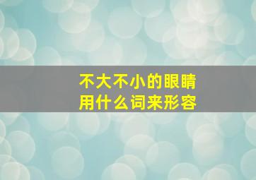 不大不小的眼睛用什么词来形容