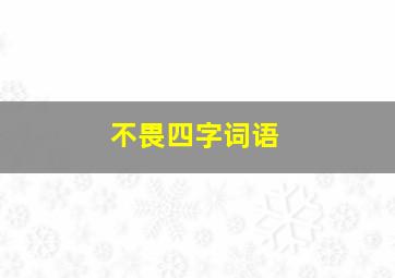 不畏四字词语