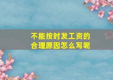 不能按时发工资的合理原因怎么写呢