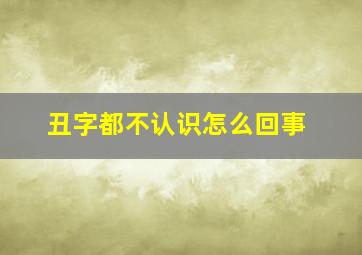 丑字都不认识怎么回事