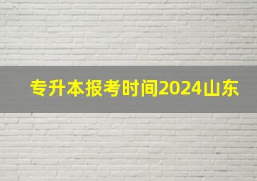 专升本报考时间2024山东