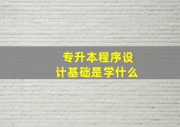 专升本程序设计基础是学什么