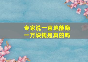 专家说一亩地能赚一万块钱是真的吗