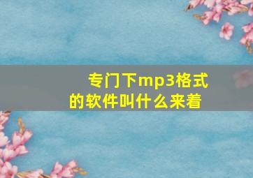 专门下mp3格式的软件叫什么来着