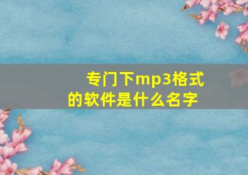 专门下mp3格式的软件是什么名字