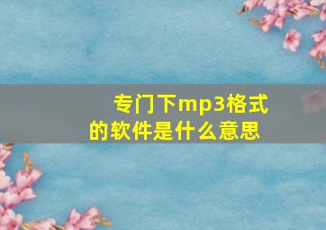 专门下mp3格式的软件是什么意思