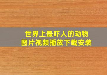 世界上最吓人的动物图片视频播放下载安装