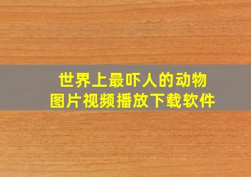 世界上最吓人的动物图片视频播放下载软件