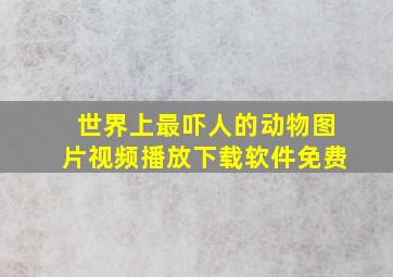 世界上最吓人的动物图片视频播放下载软件免费