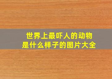 世界上最吓人的动物是什么样子的图片大全