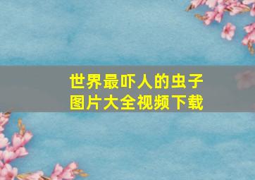 世界最吓人的虫子图片大全视频下载