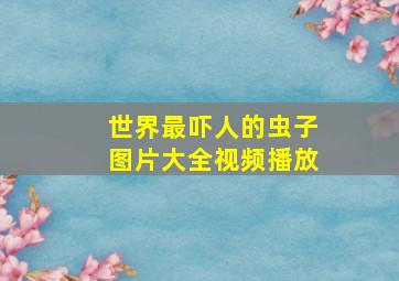 世界最吓人的虫子图片大全视频播放