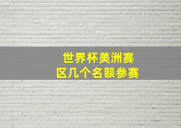 世界杯美洲赛区几个名额参赛