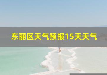 东丽区天气预报15天天气