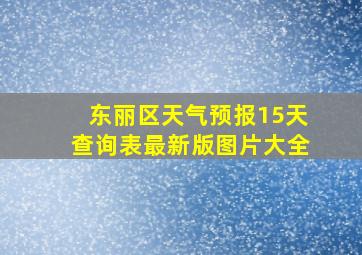 东丽区天气预报15天查询表最新版图片大全