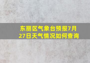 东丽区气象台预报7月27日天气情况如何查询