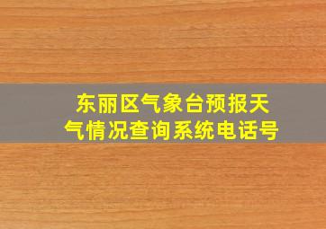 东丽区气象台预报天气情况查询系统电话号