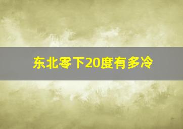 东北零下20度有多冷