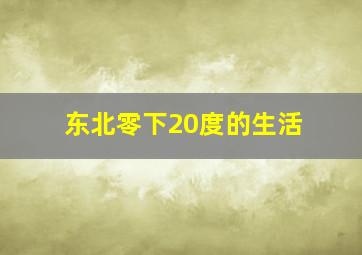 东北零下20度的生活