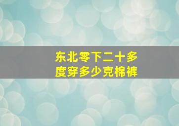 东北零下二十多度穿多少克棉裤