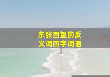 东张西望的反义词四字词语