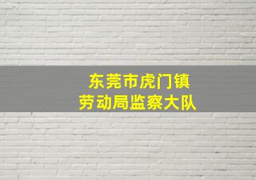 东莞市虎门镇劳动局监察大队