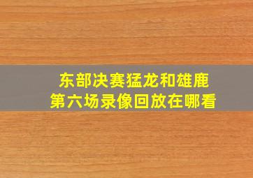 东部决赛猛龙和雄鹿第六场录像回放在哪看