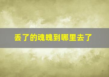 丢了的魂魄到哪里去了