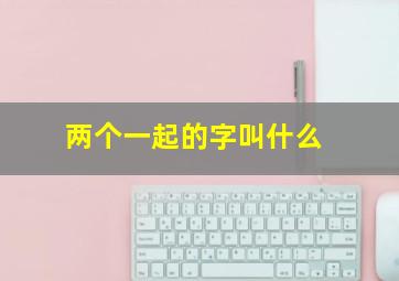 两个一起的字叫什么