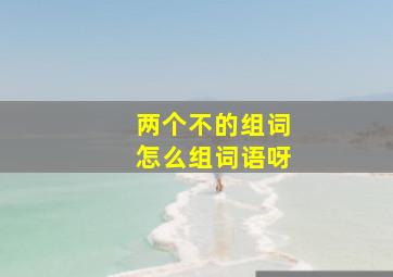 两个不的组词怎么组词语呀