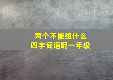 两个不能组什么四字词语呢一年级