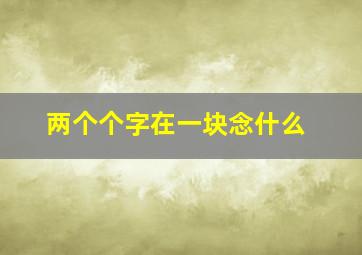 两个个字在一块念什么