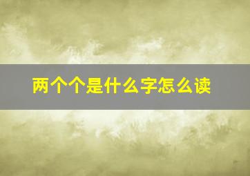 两个个是什么字怎么读