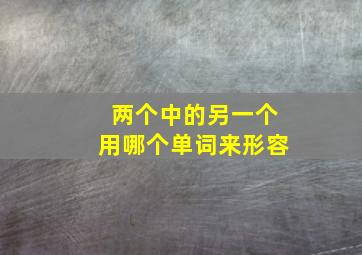 两个中的另一个用哪个单词来形容