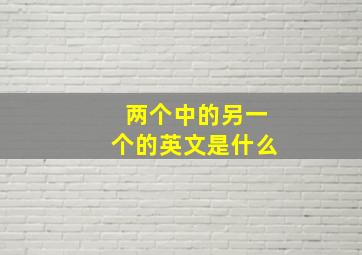 两个中的另一个的英文是什么