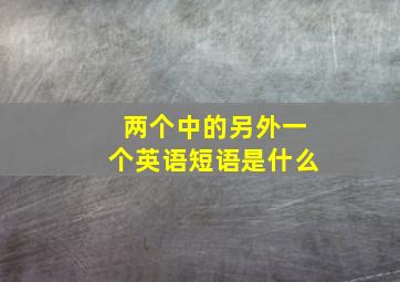 两个中的另外一个英语短语是什么