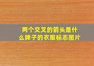 两个交叉的箭头是什么牌子的衣服标志图片