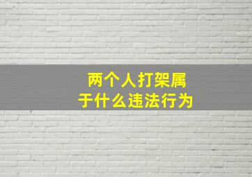 两个人打架属于什么违法行为