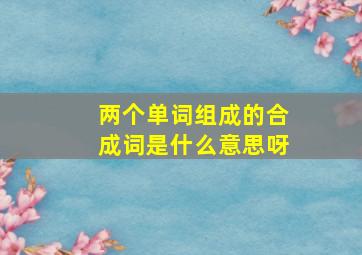 两个单词组成的合成词是什么意思呀