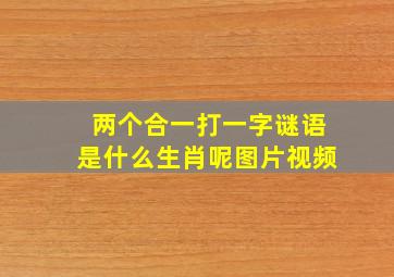 两个合一打一字谜语是什么生肖呢图片视频