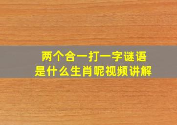 两个合一打一字谜语是什么生肖呢视频讲解