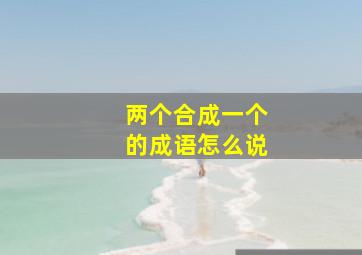 两个合成一个的成语怎么说